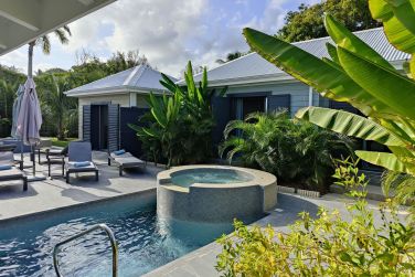 photo Majesty Palm Guadeloupe