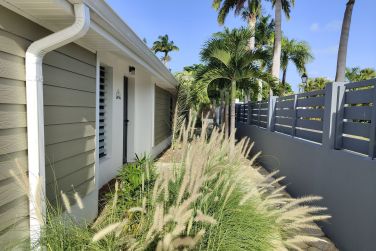 photo Majesty Palm Guadeloupe