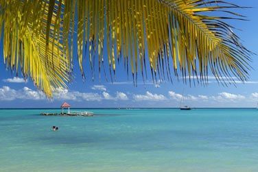 Rendez-vous sur la cte Est de Grande Terre,  St Franois