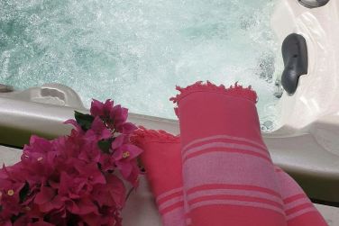 photo Majesty Palm Guadeloupe