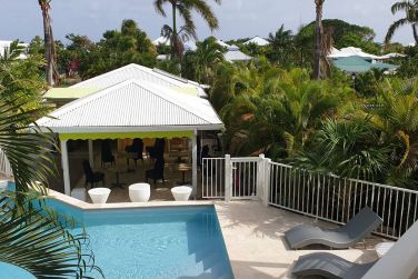 photo Majesty Palm Guadeloupe