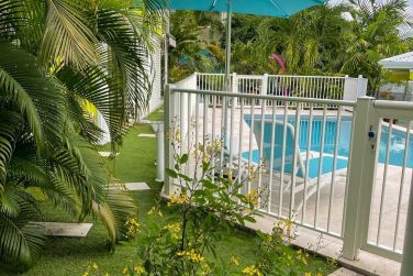 photo Majesty Palm Guadeloupe