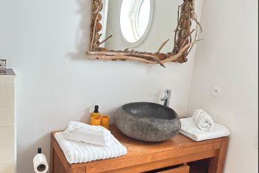 photo Majesty Palm Guadeloupe