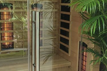 photo Majesty Palm Guadeloupe