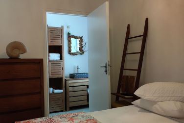 photo Majesty Palm Guadeloupe