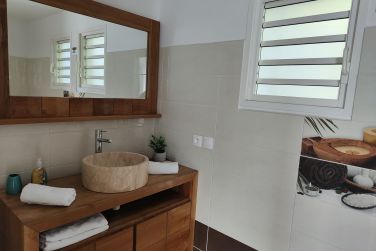 photo Majesty Palm Guadeloupe