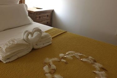 photo Majesty Palm Guadeloupe