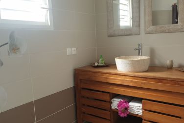 photo Majesty Palm Guadeloupe