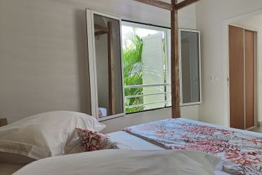 photo Majesty Palm Guadeloupe