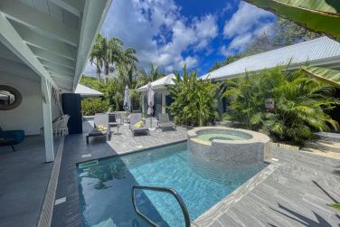 photo Majesty Palm Guadeloupe