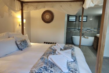 photo Majesty Palm Guadeloupe