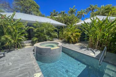 photo Majesty Palm Guadeloupe