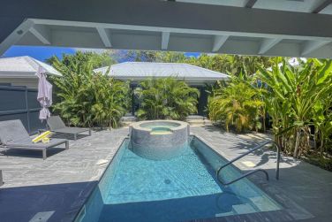 photo Majesty Palm Guadeloupe