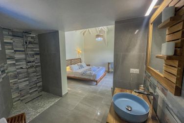 photo Majesty Palm Guadeloupe