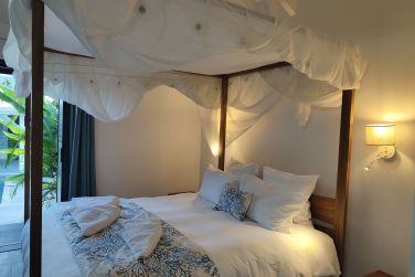 photo Majesty Palm Guadeloupe