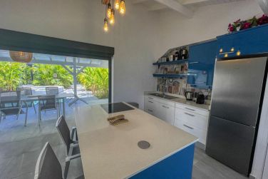 photo Majesty Palm Guadeloupe