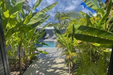 photo Majesty Palm Guadeloupe