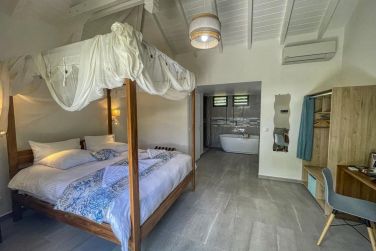 photo Majesty Palm Guadeloupe