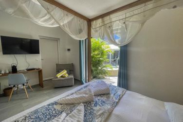 photo Majesty Palm Guadeloupe