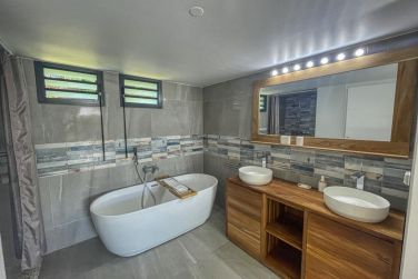 photo Majesty Palm Guadeloupe