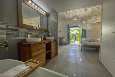 photo Majesty Palm Guadeloupe