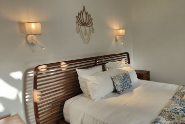 photo Majesty Palm Guadeloupe