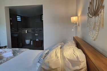 photo Majesty Palm Guadeloupe