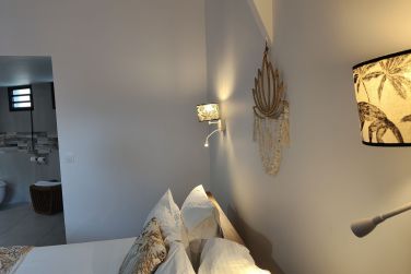 photo Majesty Palm Guadeloupe