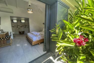 photo Majesty Palm Guadeloupe