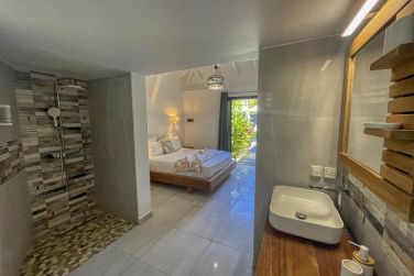 photo Majesty Palm Guadeloupe