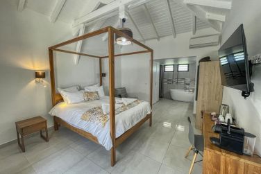 photo Majesty Palm Guadeloupe