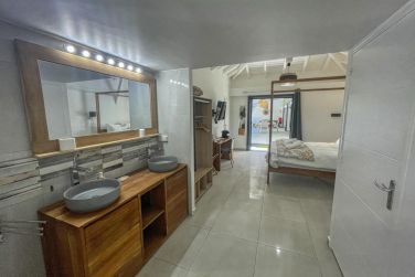 photo Majesty Palm Guadeloupe