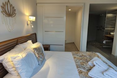 photo Majesty Palm Guadeloupe