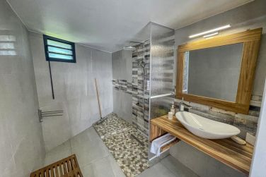 photo Majesty Palm Guadeloupe