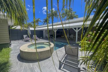 photo Majesty Palm Guadeloupe