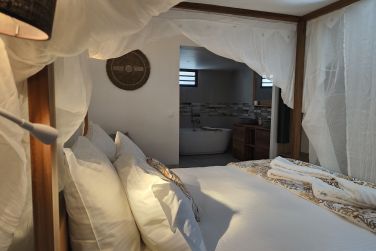 photo Majesty Palm Guadeloupe