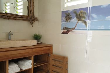 photo Majesty Palm Guadeloupe