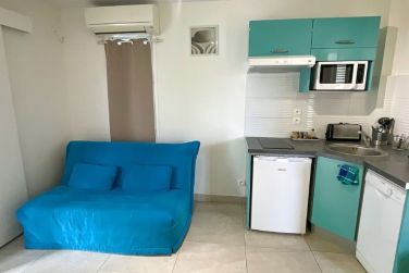 photo Majesty Palm Guadeloupe