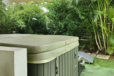 photo Majesty Palm Guadeloupe