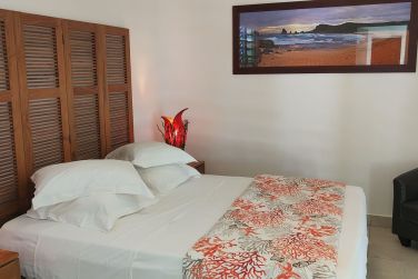 photo Majesty Palm Guadeloupe