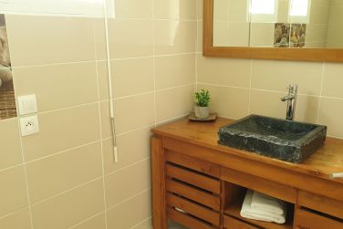 photo Majesty Palm Guadeloupe