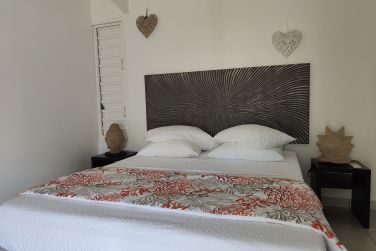 photo Majesty Palm Guadeloupe