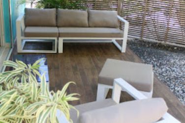 photo Majesty Palm Guadeloupe