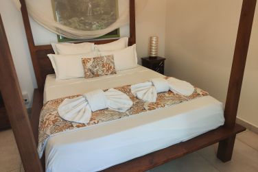 photo Majesty Palm Guadeloupe