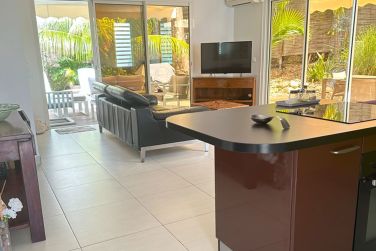 photo Majesty Palm Guadeloupe