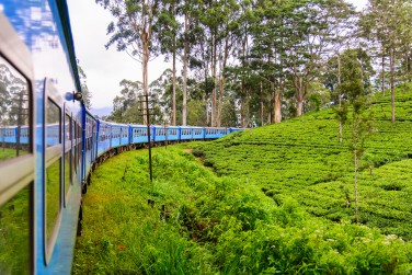 Le fameux train qui traverse la r�gion de Nuwara Eliya