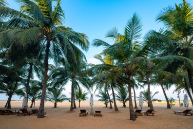 Commencez votre d�couverte du Sri Lanka par le village de p�cheurs de Negombo