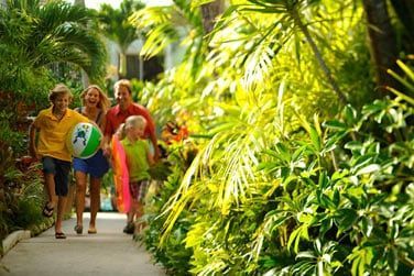 Une adresse idale pour dcouvrir Nassau  moindre cot en famille !