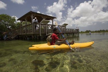 Les plus actifs et sportifs tenteront sans doute une sortie en kayak dans la mangrove