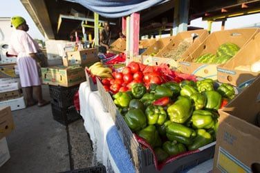 O vous pourrez craquer pour des objets d'artisanat ou de succulents fruits tropicaux !
